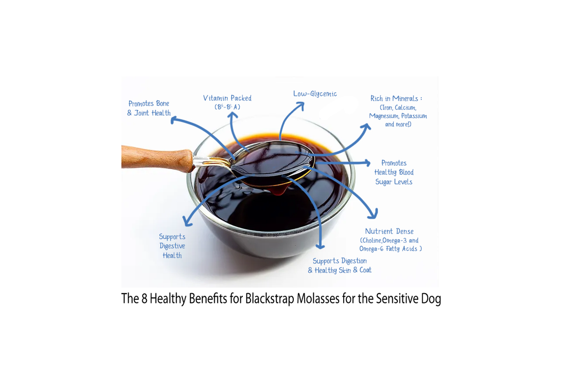 Blackstrap Molasses: 8 Healthy Benefits for the Sensitive Dog