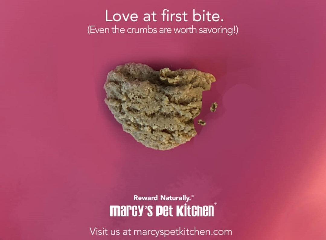 Behind the Brand: Meet the Dogs Behind Marcy's Pet Kitchen