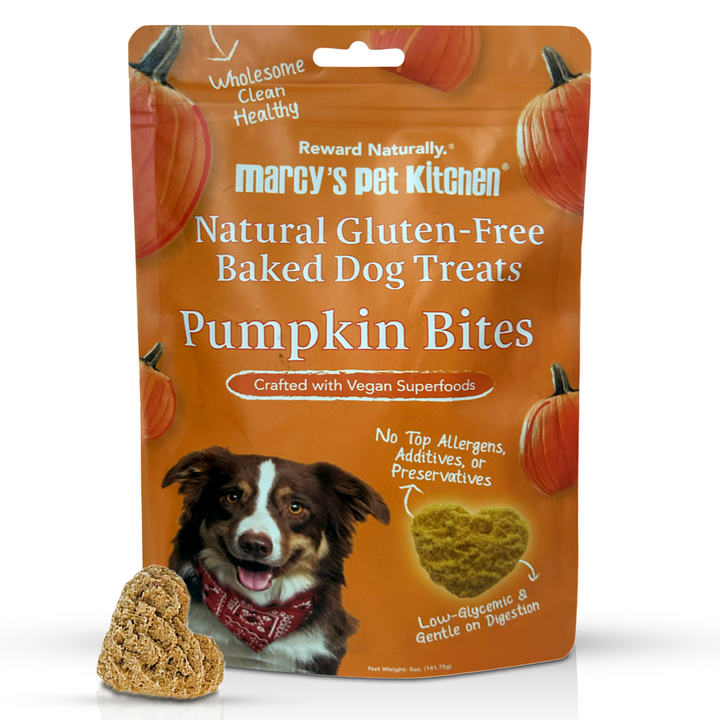 Pumpkin Bites dog treats in resealable bag by Marcy&
