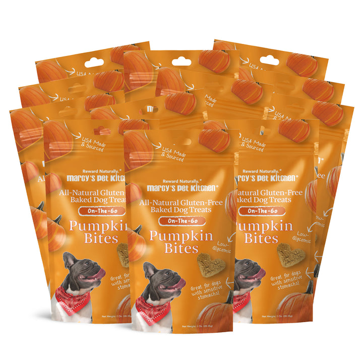 Pumpkin Bites - 12 Pack (1oz)