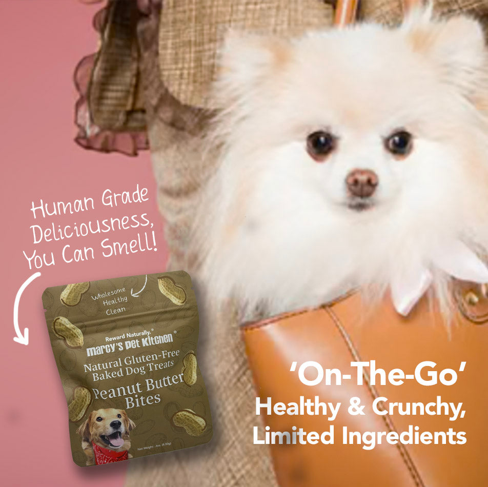 All-Natural Peanut Butter 'On-The-Go' Dog Treats - Homemade-All Natural Dog Treats for Digestive Help - Gluten Free Healthy Human Grade Dog Biscuits for Sensitive Stomachs- USA Made