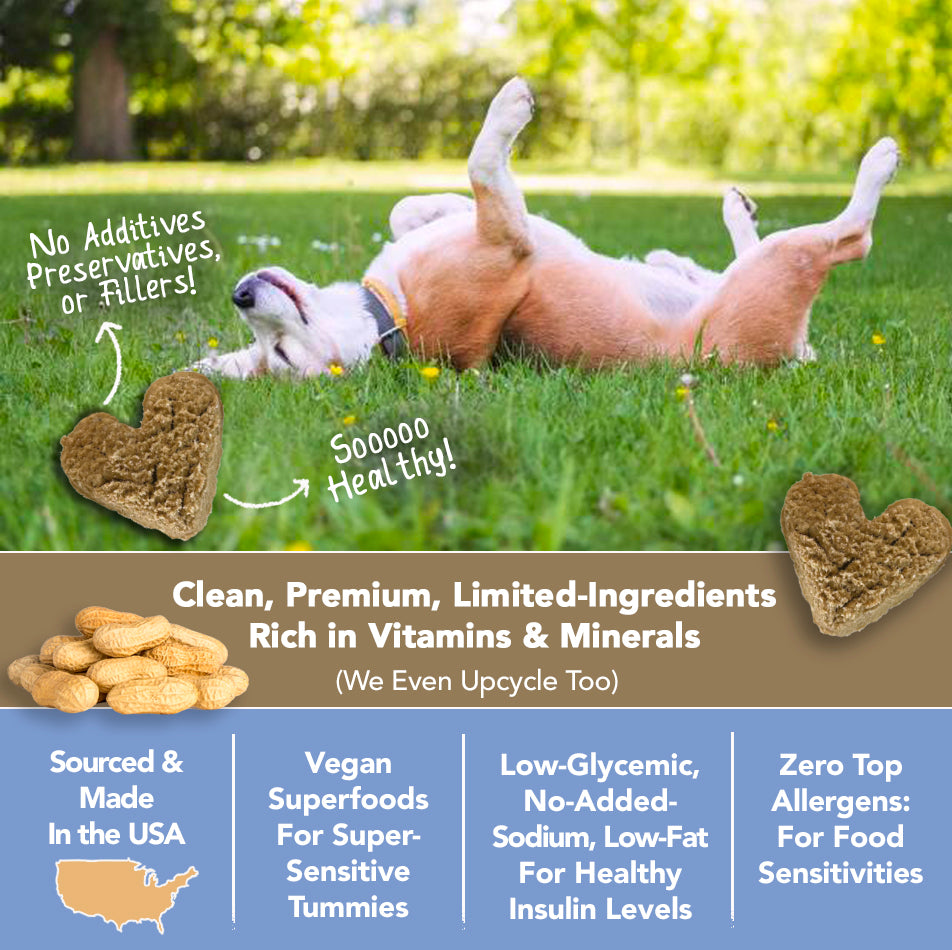 All-Natural Peanut Butter Dog Treats - Homemade-All Natural Dog Treats for Digestive Help - Gluten Free Healthy Human Grade Dog Biscuits for Sensitive Stomachs- USA Made