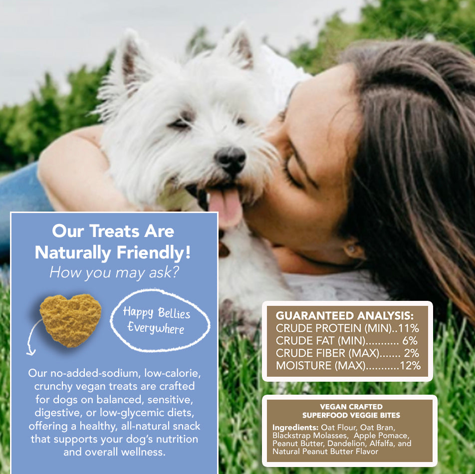 All-Natural Peanut Butter Dog Treats - Homemade-All Natural Dog Treats for Digestive Help - Gluten Free Healthy Human Grade Dog Biscuits for Sensitive Stomachs- USA Made