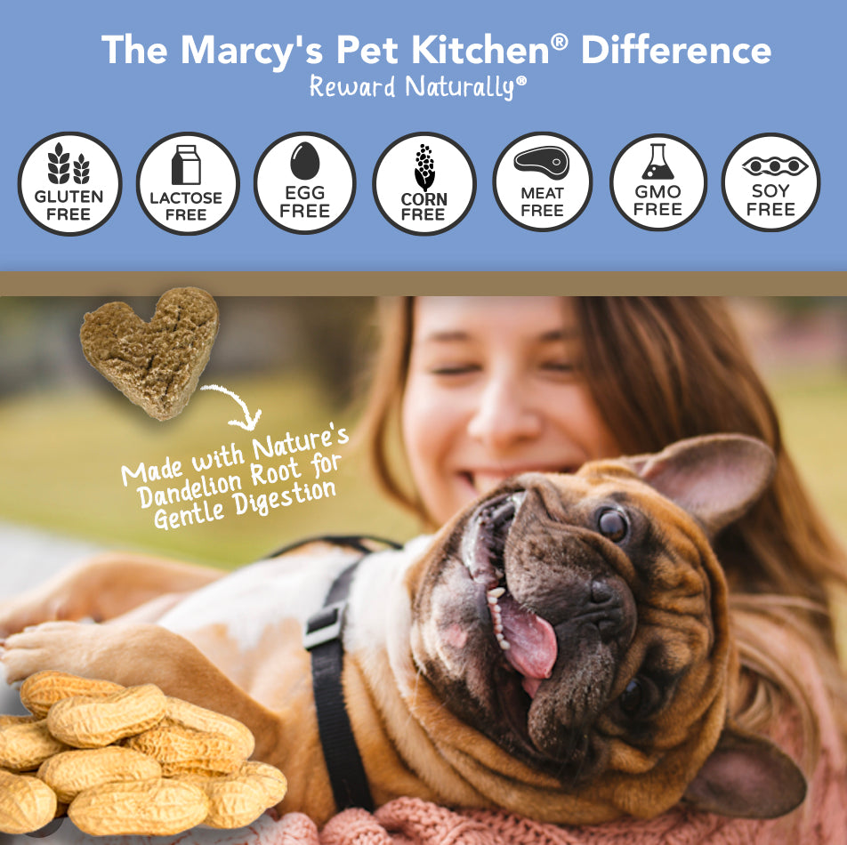 All-Natural Peanut Butter Dog Treats - Homemade-All Natural Dog Treats for Digestive Help - Gluten Free Healthy Human Grade Dog Biscuits for Sensitive Stomachs- USA Made