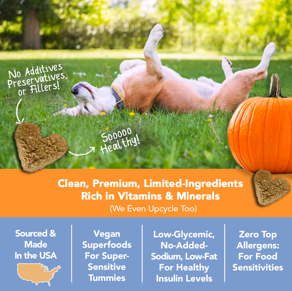 Marcy's Pet Kitchen- All Natural, Vegan Pumpkin Biscuit Dog Treats - Homemade-Vet Approved- Vegan, Gluten Free, Human Grade Ingredients, Made in The USA, Healthy Pumpkin Dog Treats