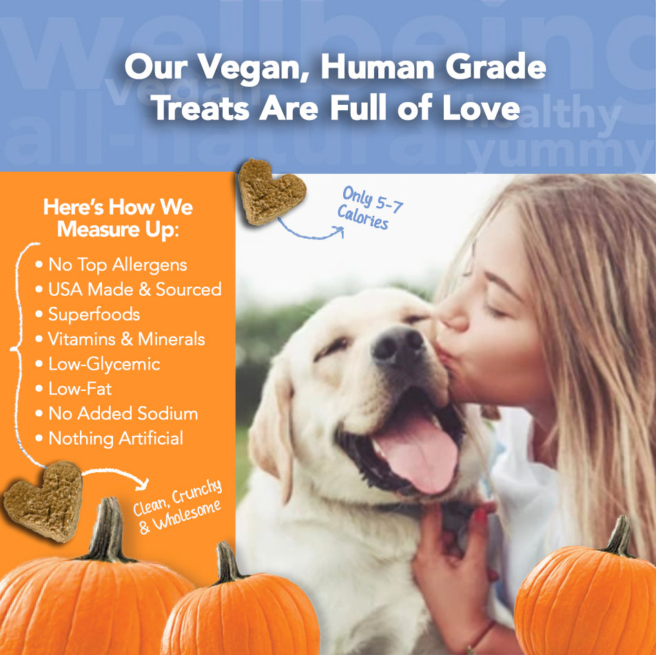 Marcy's Pet Kitchen- All Natural, Vegan Pumpkin Biscuit Dog Treats - Homemade-Vet Approved- Vegan, Gluten Free, Human Grade Ingredients, Made in The USA, Healthy Pumpkin Dog Treats