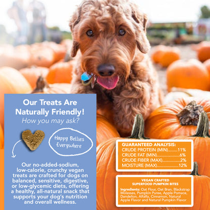 Marcy's Pet Kitchen- All Natural, Vegan Pumpkin Biscuit ‘On The Go’ Pouches Dog Treats - Homemade-Vet Approved- Vegan, Gluten Free, Human Grade Ingredients, Made in The USA, Healthy Pumpkin Dog Treats