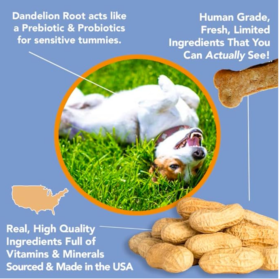 All-Natural Peanut Butter Dog Treats - All Natural Dog Treats for Digestive Help - Gluten Free Healthy Human Grade Dog Biscuits for Sensitive Stomachs- USA Made