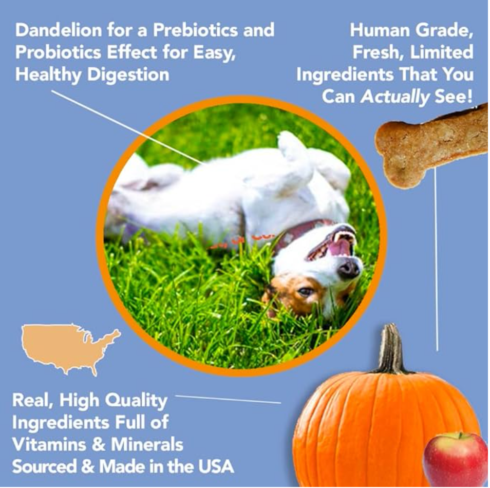 Marcy's Pet Kitchen- All Natural, Vegan Pumpkin Biscuit Dog Treats - Vet Approved- Vegan, Gluten Free, Grain Free, Human Grade Ingredients, Made in The USA, Healthy Pumpkin Dog Treats