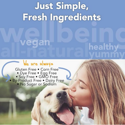 Marcy's Pet Kitchen- All Natural, Vegan Pumpkin Biscuit Dog Treats - Vet Approved- Vegan, Gluten Free, Grain Free, Human Grade Ingredients, Made in The USA, Healthy Pumpkin Dog Treats