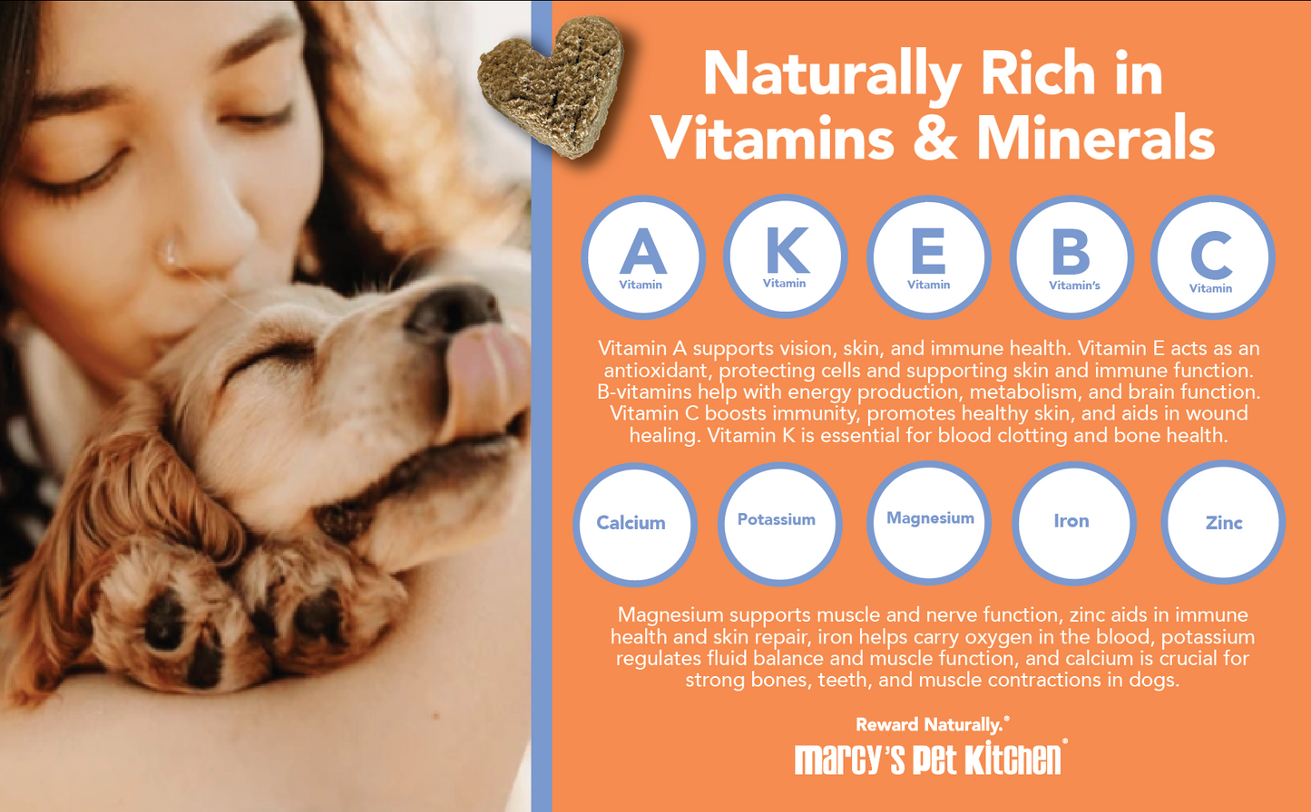 Marcy's Pet Kitchen- All Natural, Vegan Pumpkin Biscuit ‘On The Go’ Pouches Dog Treats - Homemade-Vet Approved- Vegan, Gluten Free, Human Grade Ingredients, Made in The USA, Healthy Pumpkin Dog Treats