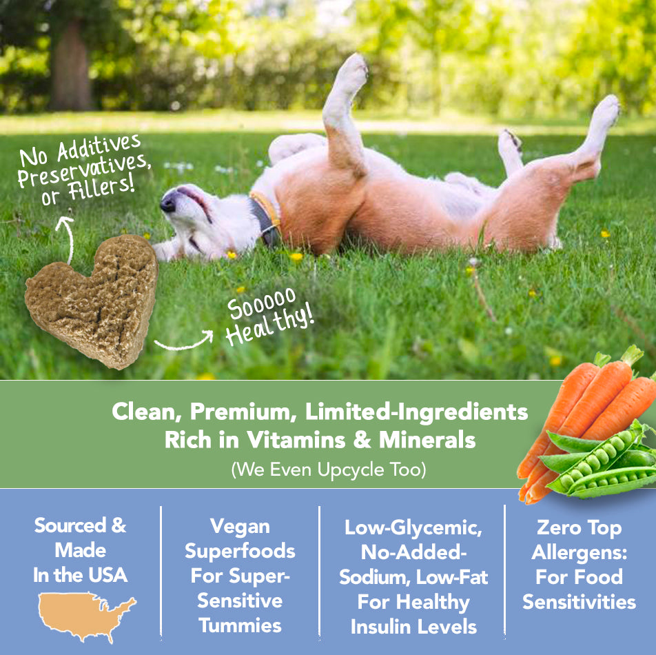 Marcy's Pet Kitchen-Vet Recommend- All Natural-Vegan Homemade, Veggie 'On The Go' Pouches-Gluten Free-Chicken Free-for Sensitive Stomachs-Made in The USA Only