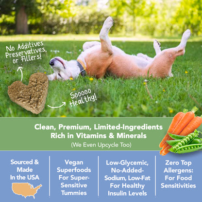 Marcy's Pet Kitchen-Vet Recommend- All Natural-Vegan Homemade, Veggie 'On The Go' Pouches-Gluten Free-Chicken Free-for Sensitive Stomachs-Made in The USA Only