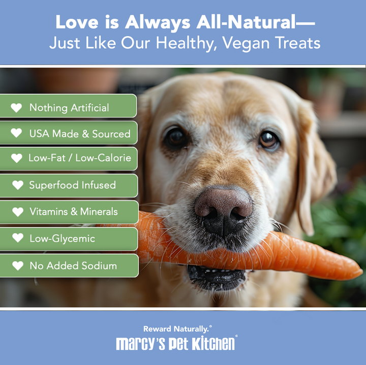 Yellow Labrador with carrot showing Veggie Bites product benefits - all-natural, USA made, low-glycemic, superfood infused