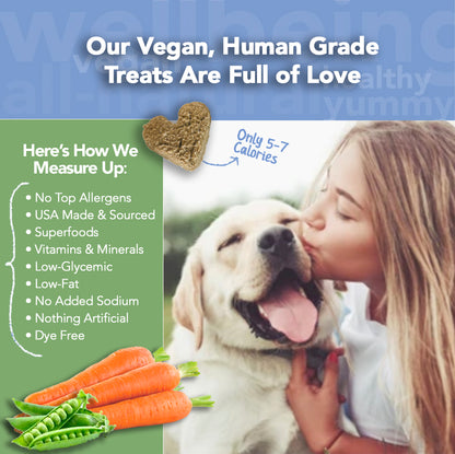 Marcy's Pet Kitchen-Vet Recommend- All Natural-Vegan Homemade, Veggie 'On The Go' Pouches-Gluten Free-Chicken Free-for Sensitive Stomachs-Made in The USA Only